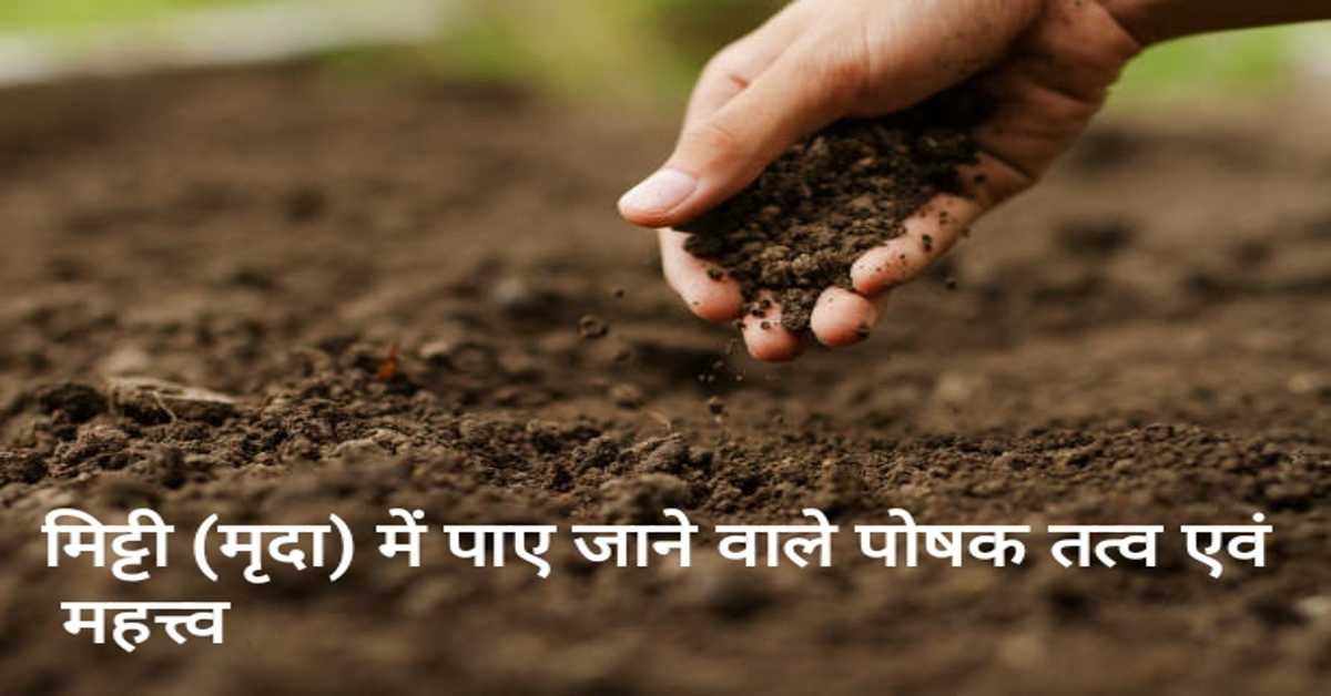 मिट्टी (मृदा) में पाए जाने वाले पोषक तत्व एवं महत्त्व | Nutrients and importance found in soil 