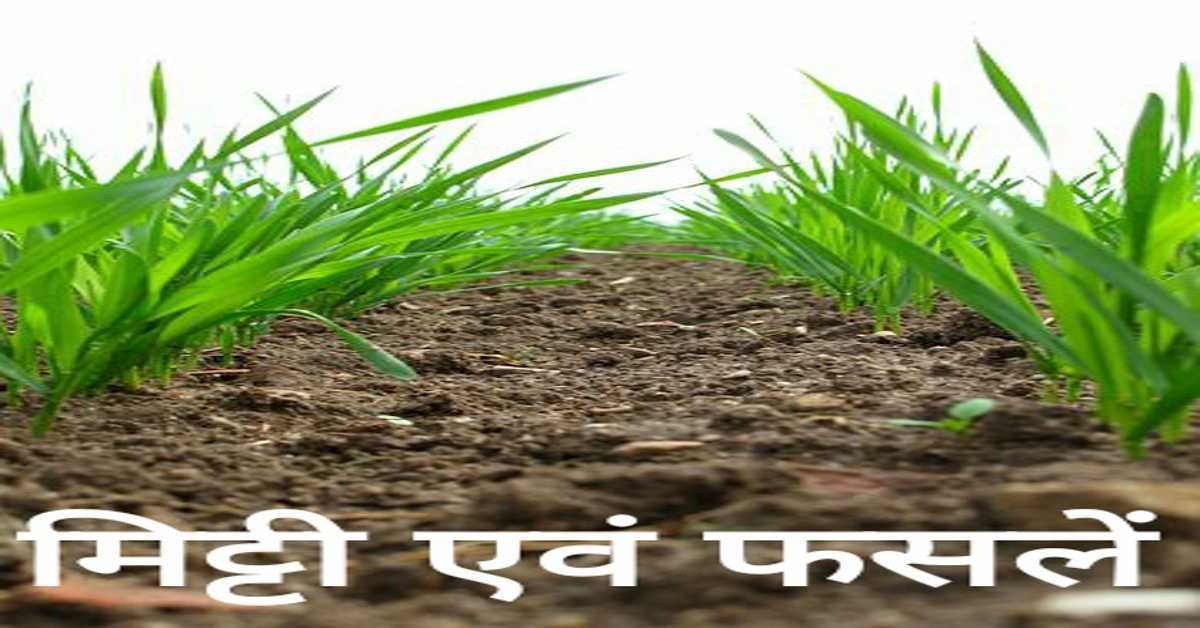 मिट्टी एवं फसलें | soil and crops